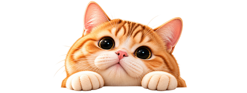 bys-user-store-888738